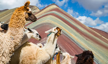 Viajes a CUSCO A PRIMERA VISTA 2026 en español | Agencia de Viajes Festival